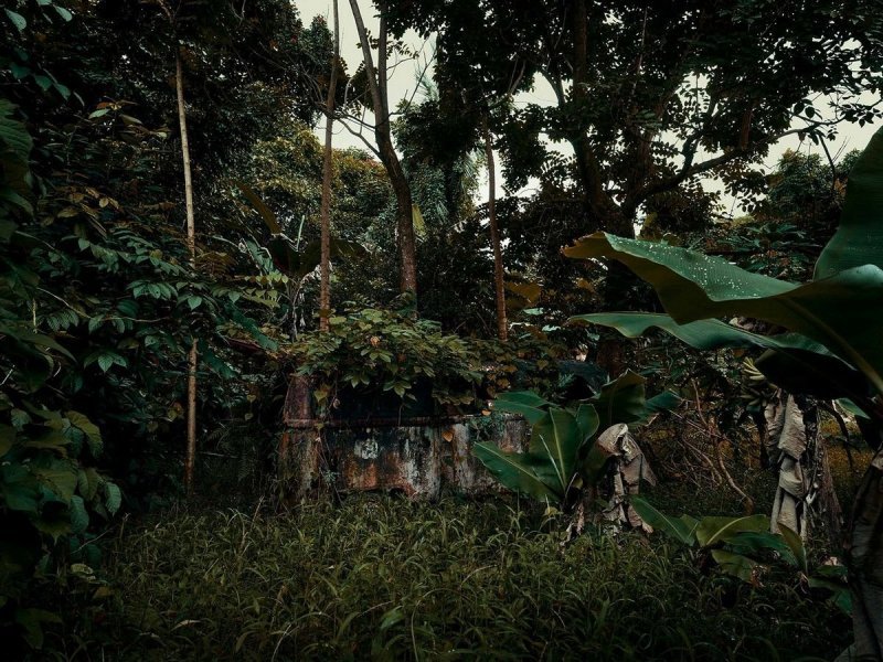 Брошенные автомобили в гавайских джунглях