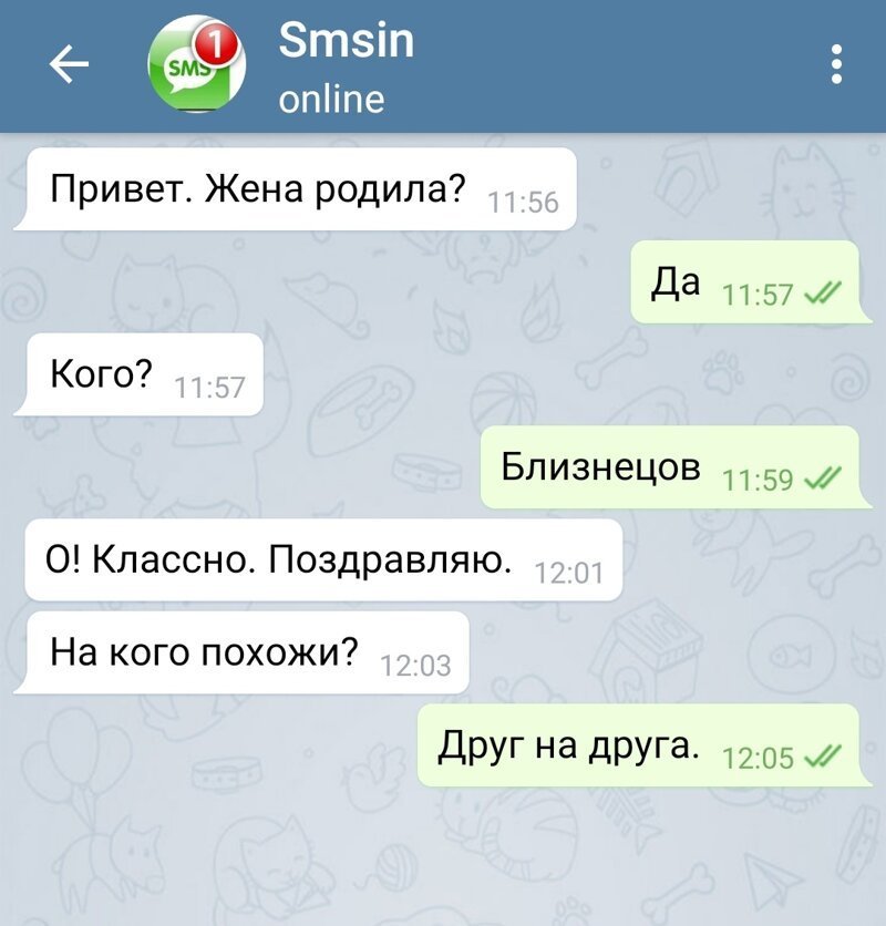 СМС приколы!