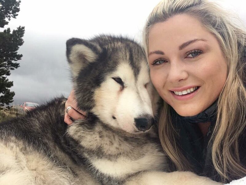 Умирающую собаку  отнесли в горы, чтобы она в последний раз увидела снег