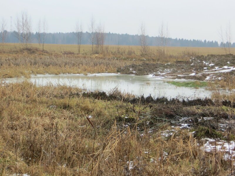 Село Софрино