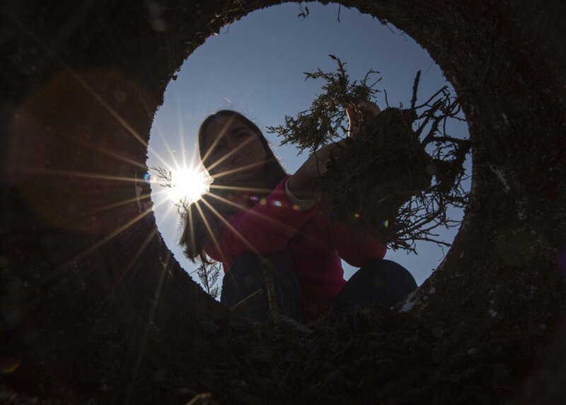 25. Девушка сажает дерево в рамках акции — в Турции 11 миллионов деревьев были посажены одновременно