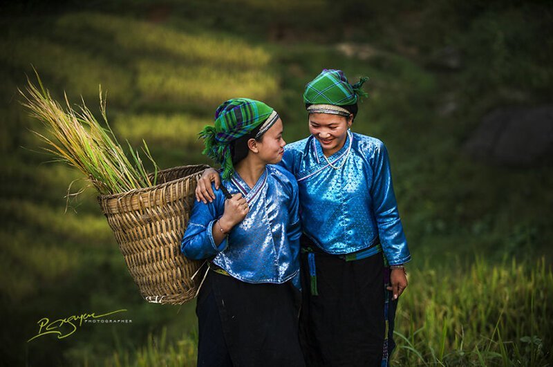 Девушки народности нанг за сбором урожая.