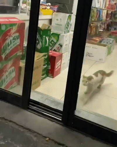 Хватай и беги