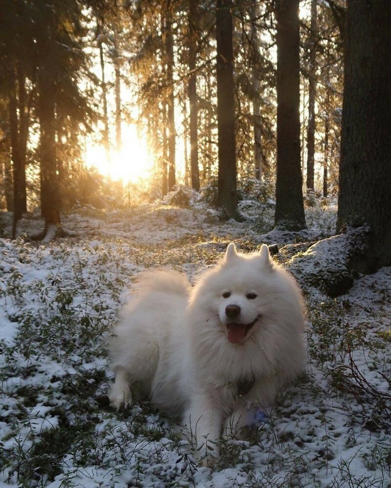 С добрым утром!