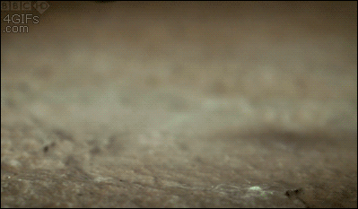 Гифки всякие