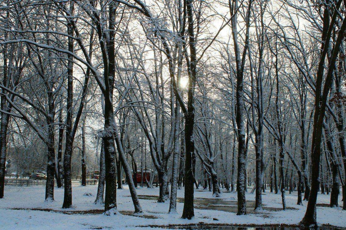 Всё в разнобой от АРОН за 12 декабря 2019