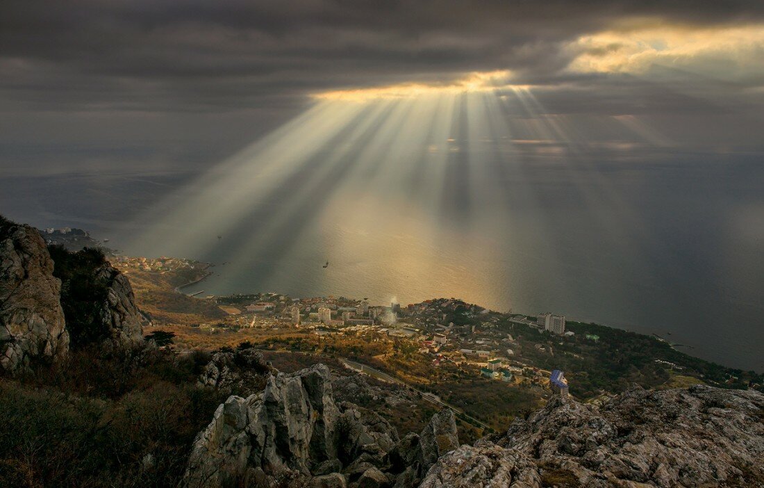 Всё в разнобой от АРОН за 12 декабря 2019