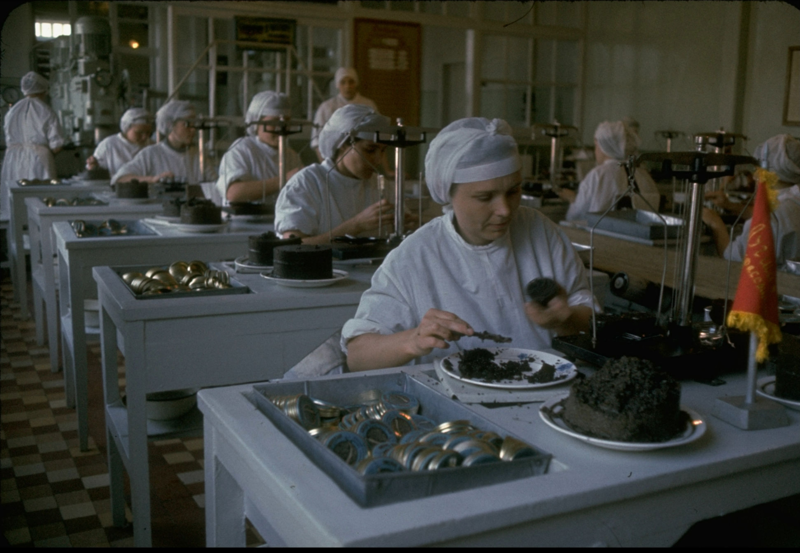 1960. Женщины упаковывают икру в банки на экспорт на Астраханском рыбокомбинате