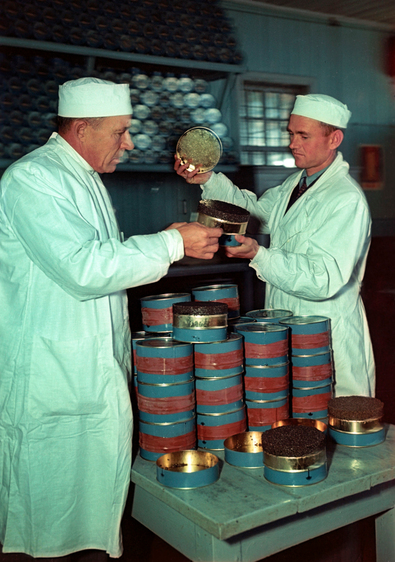 1960. Рабочие Астраханского завода подготавливают икру на экспорт