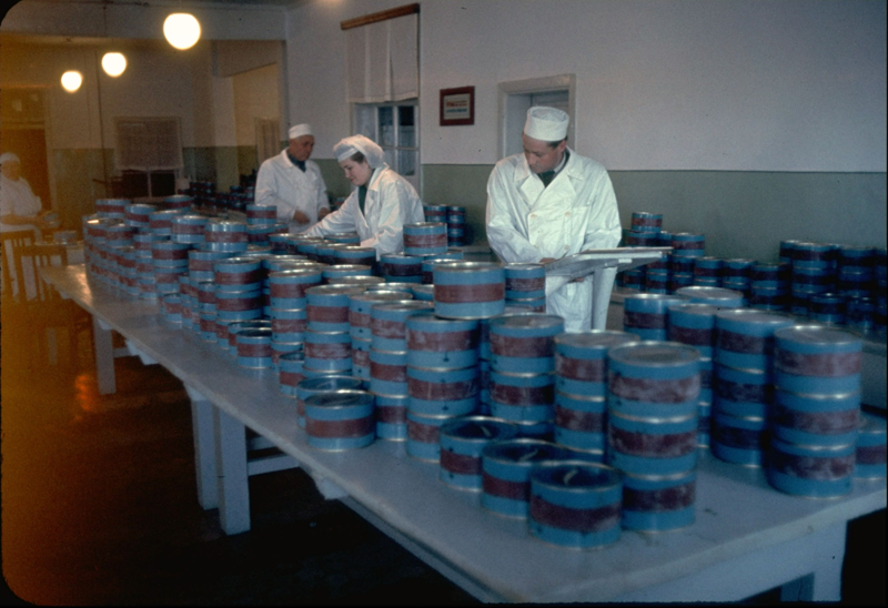 1960. Банки с икрой на экспорт на Астраханском рыбокомбинате