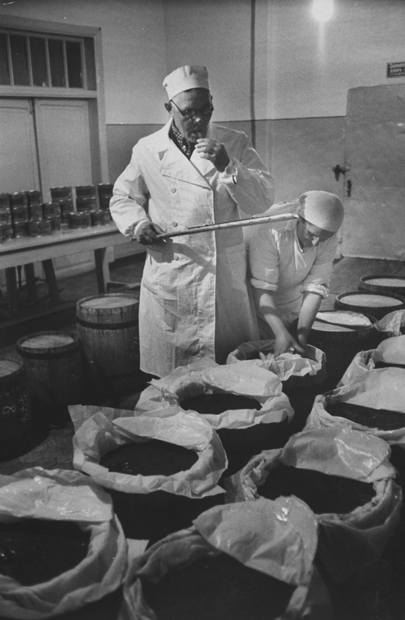 1960. Дегустатор икры на Астраханском рыбокомбинате