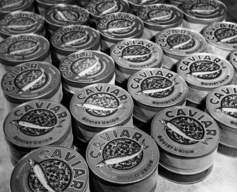 Продавался черно. Caviar икра чёрная СССР. Черная икра в Советском Союзе. Осетровая икра СССР. Банка черной икры СССР