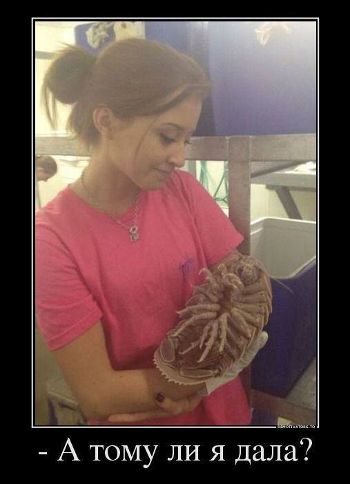 Демотиваторы