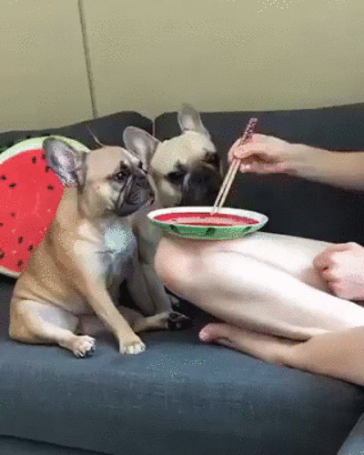 Типа поели Типа поели