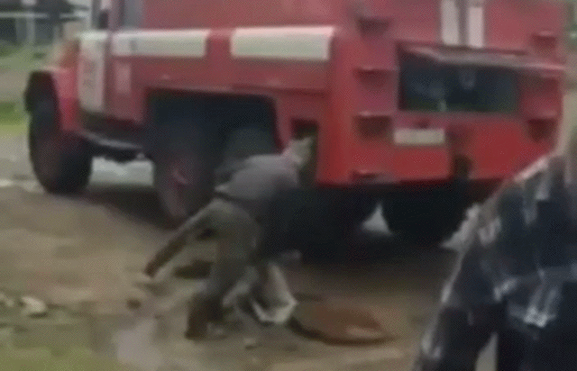 Гифки всякие