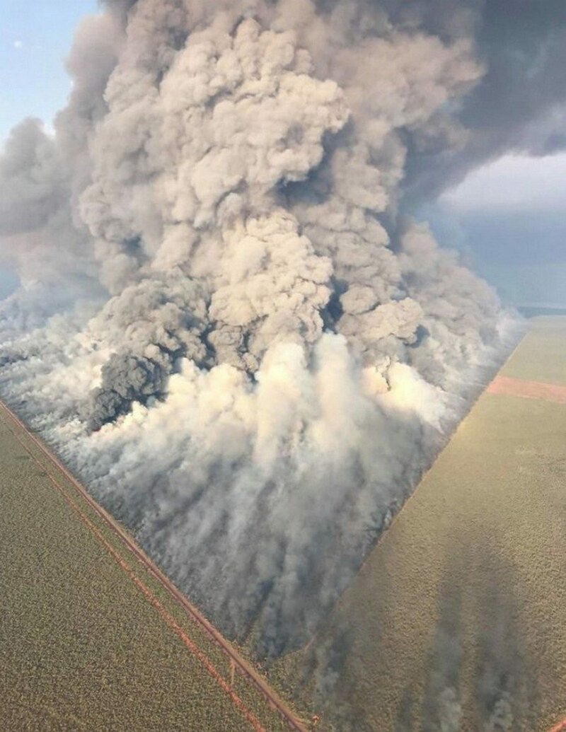 Австралийские пожары — масштабные и жуткие.