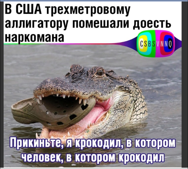 Хохотальня