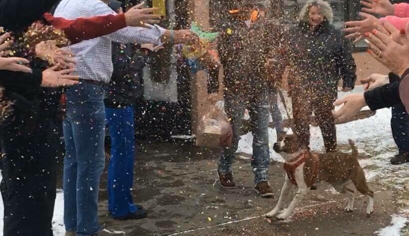 Сотрудники приюта для животных устроили проводы собаке, которая 500 дней ждала нового хозяина