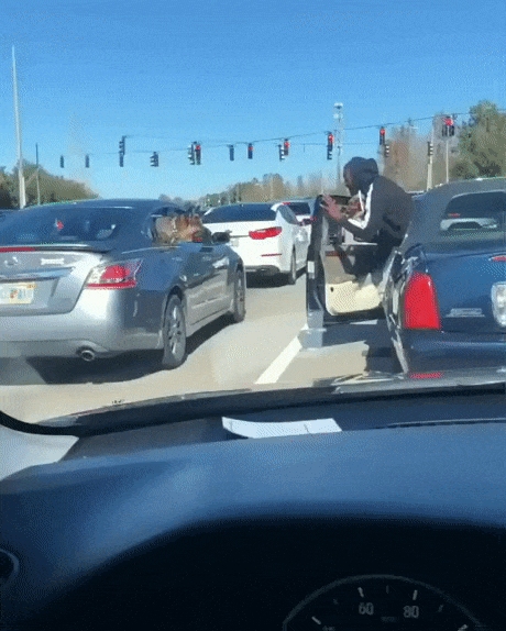 Дорожное знакомство