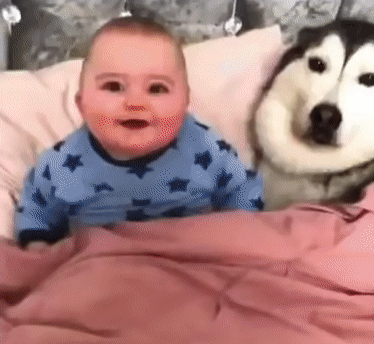 Лучший друг и нянька