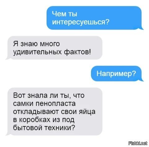 Как вы относитесь к бритым яйцами