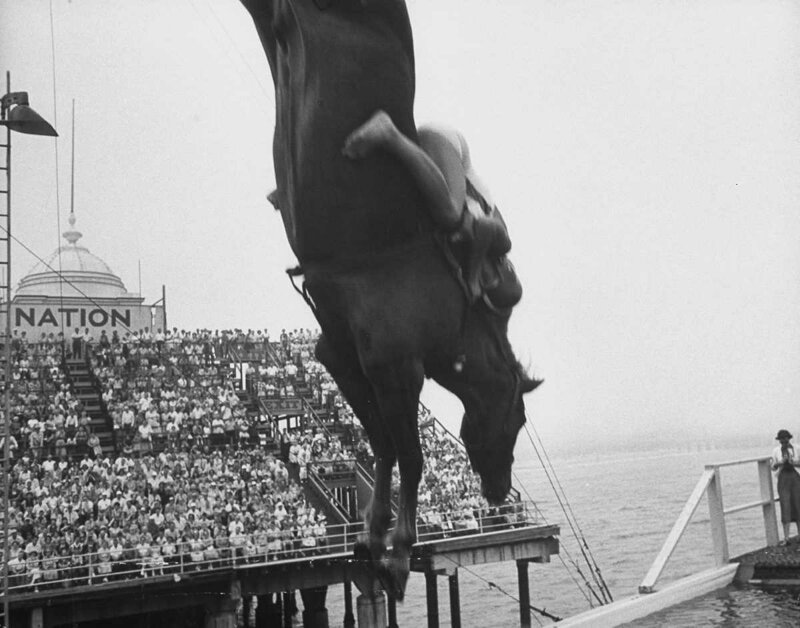 Diving horse: аттракцион 19 века, который вас поразит