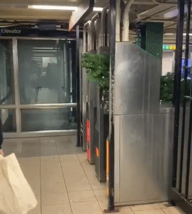 Новогодний костюм Новогодний костюм