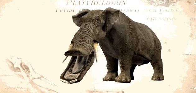 Большие слоны с пастью утки (Платибелодоны, Platybelodon grangeri)