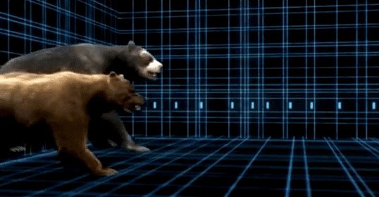 Самый большой медведь (Гигантский короткомордый медведь, Arctodus Simus)
