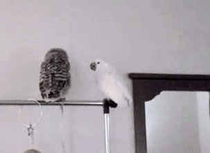 Гифки разные