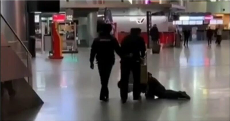 Вот это сервис: в аэропорту Внуково полицейские вывезли пьяного воющего пассажира на тележке
