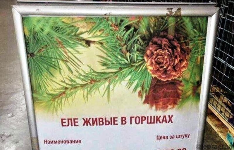 Всё в разнобой