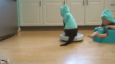 Подарок, который оценят все домочадцы