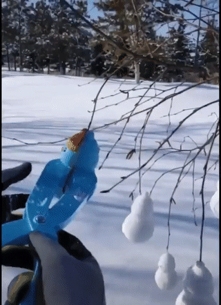 Необычное применение снеголепки