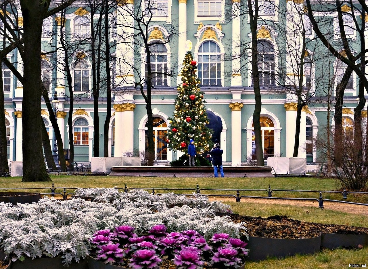 зимний сад в зимнем дворце