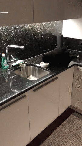 Что-то не так у него с языком