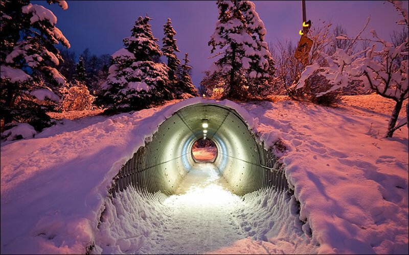 Тоннель для животных в Финляндии
