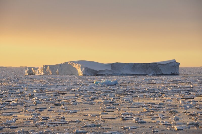 Новый год во льдах Антарктики