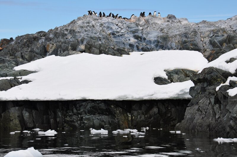 Антарктида. Yalour Island