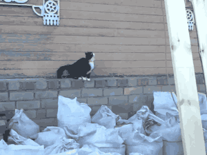 Гифки разные