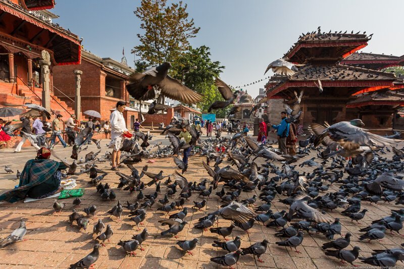Неизвестные Гималаи. В поисках охотников за медом диких пчёл. Катманду. Площадь Дурбар