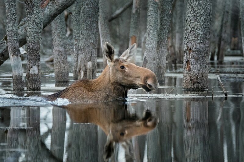 Фотоподборка