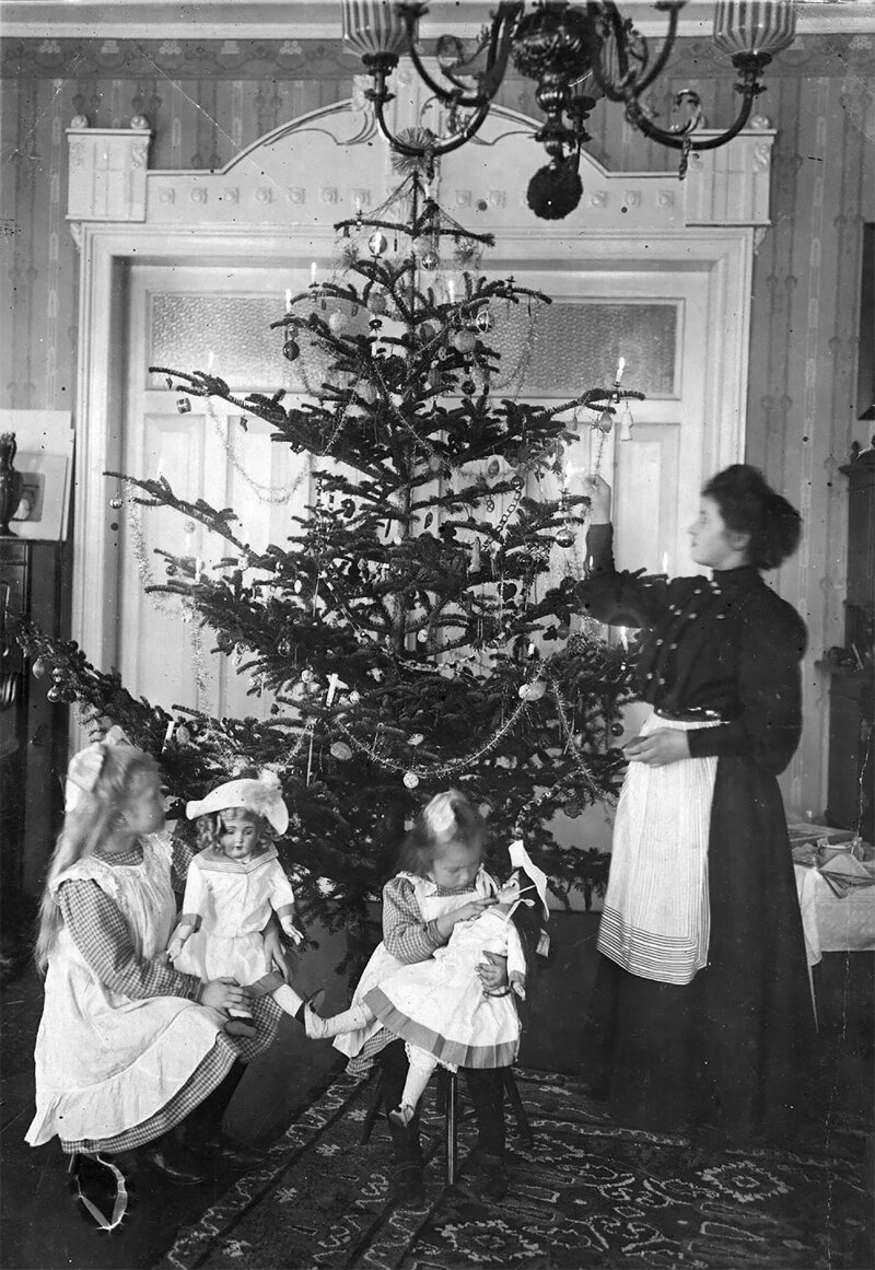 Рождественская елка эдвардианской эпохи, 1905 год
