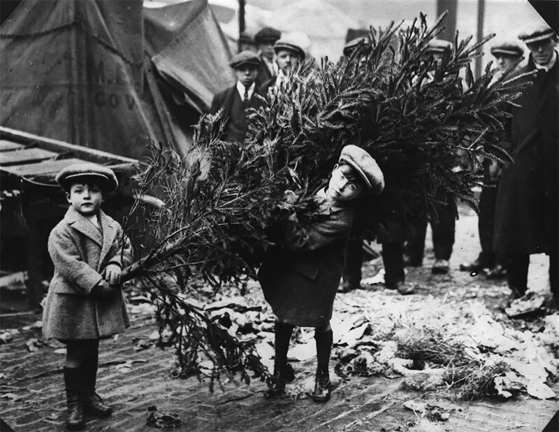 Мальчики несут елку домой с рынка на Ковент-Гарден, Лондон, 1920 год 