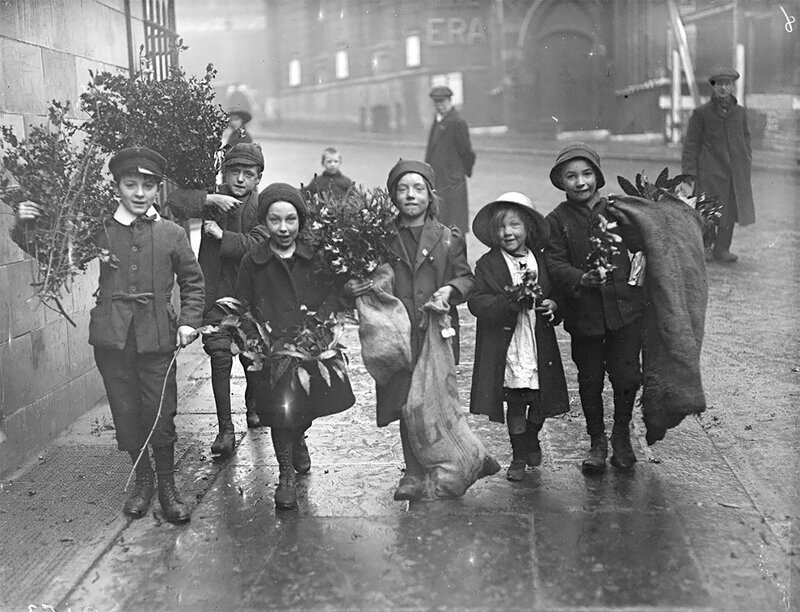Дети несут остролист и омелу, декабрь 1915 года 