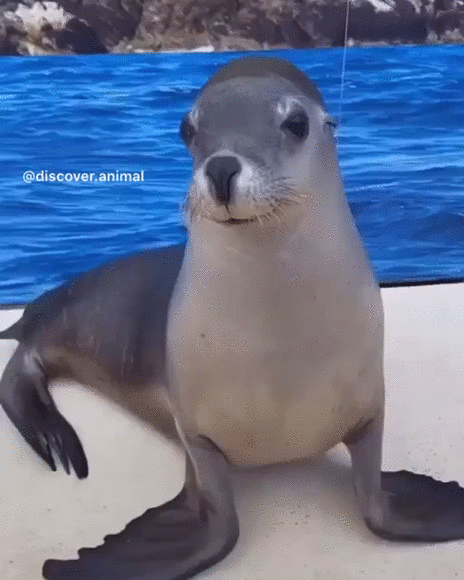 И хорошее настроение не покинет больше вас