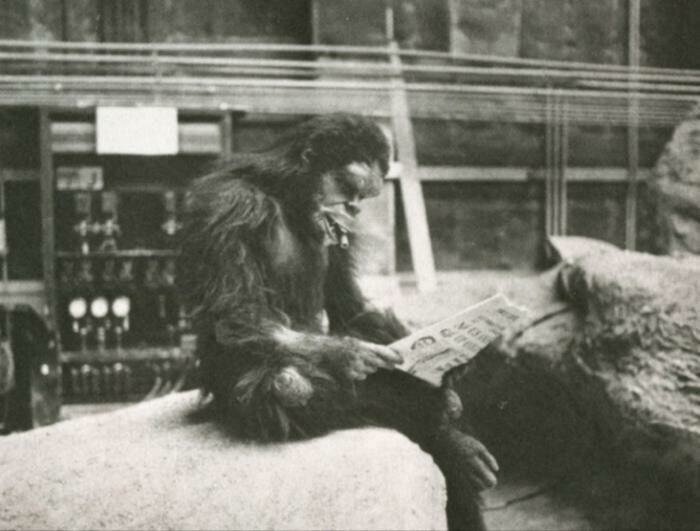 Австралопетек курит и читает газету после контакта с монолитом на съёмках "Космической одиссеи 2001 года"