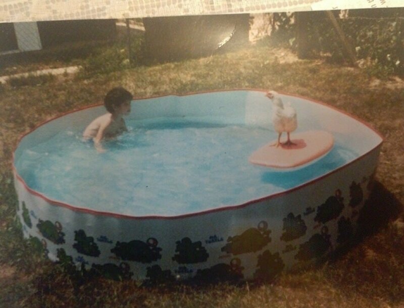 5. «Когда мой друг был маленьким, у него была курица-сёрфингистка»