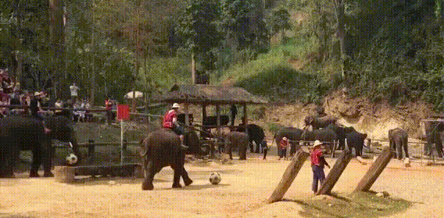 Гифки разные Гифки разные