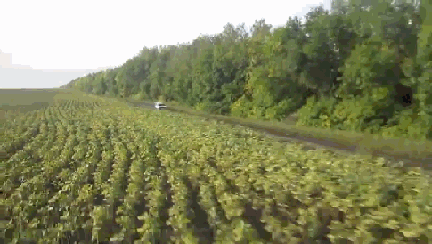 Гифки разные